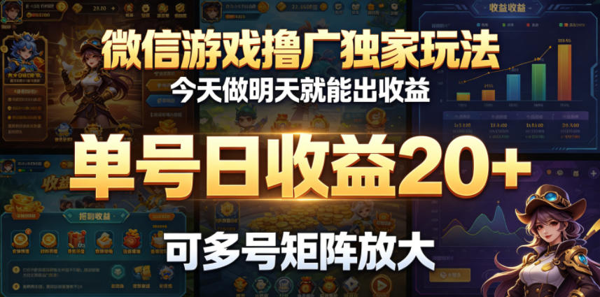 微信游戏撸广独家玩法，今天做明天就能出收益，单号日收益20+，可多号矩阵放大-小宝云网创