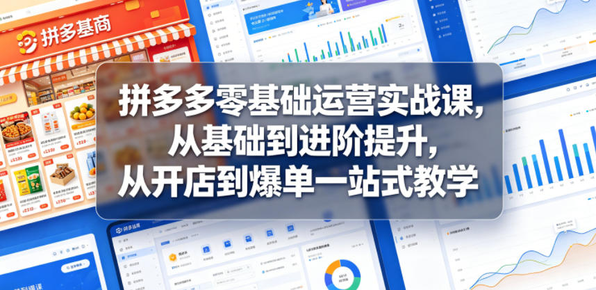 拼多多零基础运营实战课，从基础到进阶提升，从开店到爆单一站式教学-蔚蓝分享