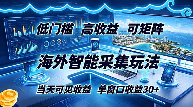 海外智能采集玩法，低门槛高单价可矩阵，当天可见收益，单窗口30+-亿云网创