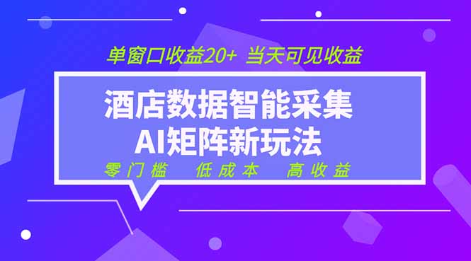 2026酒店数据采集ai智能矩阵新风口  低成本   高收益   当天见收益   单窗口20+-优优云网创