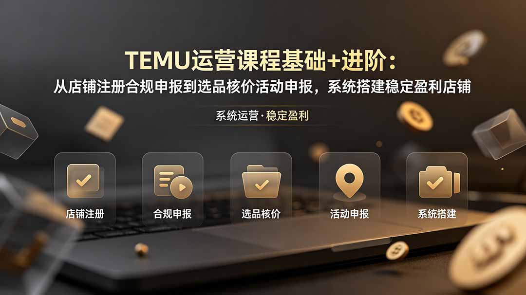 TEMU运营课程(基础+进阶-小小资源网