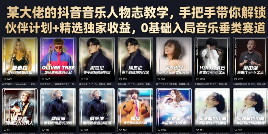 某大佬的抖音音乐人物志教学，手把手带你解锁伙伴计划+精选独家收益，0基础入局音乐垂类赛道-尚品云资源网