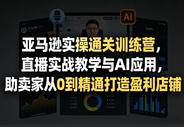 亚马逊实操通关训练营，直播实战教学与AI应用，助卖家从0到精通打造盈利店铺(更新8月17日)-暮风云网创
